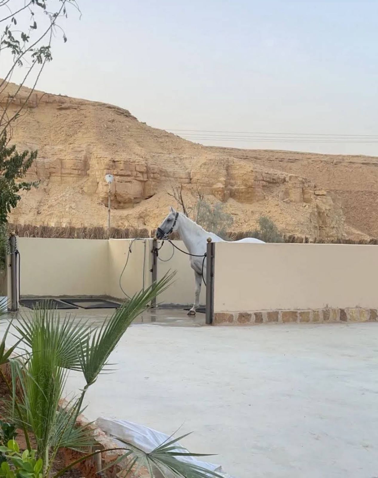 ركوب الخيل بين جبال الدرعية